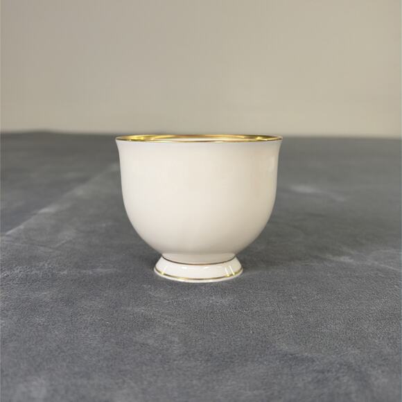 Lenox Mansfield Fine China Tea Cup & Saucer Regencycore Replacement Charity - Picture 3 of 13